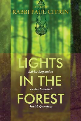 Lights in the Forest: Rabbis Respond to Twelve Essential Jewish Questions - Paul Citrin