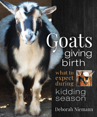 Goats Giving Birth: What to Expect During Kidding Season - Deborah Niemann