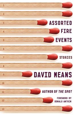 Assorted Fire Events - David Means