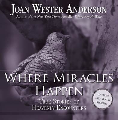 Where Miracles Happen: True Stories of Heavenly Encounters - Joan Wester Anderson