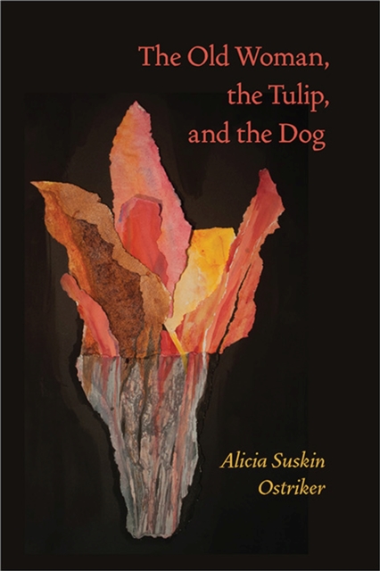 The Old Woman, the Tulip, and the Dog - Alicia Suskin Ostriker