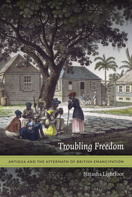 Troubling Freedom: Antigua and the Aftermath of British Emancipation - Natasha Lightfoot