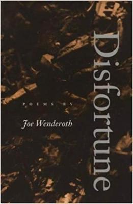 Disfortune - Joe Wenderoth