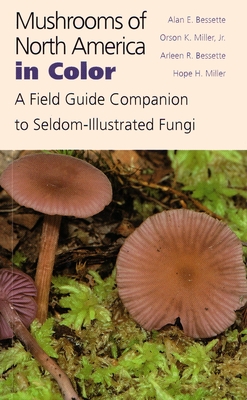 Mushrooms of North America in Color: A Field Guide Companion to Seldom-Illustrated Fungi - Alan Bessette