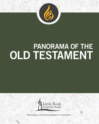 Panorama of the Old Testament - Stephen J. Binz