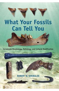 Coperta cărții 'What Your Fossils Can Tell You: Vertebrate Morphology, Pathology, and Cultural Modification - Robert W. Sinibaldi'