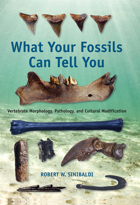 Coperta cărții 'What Your Fossils Can Tell You: Vertebrate Morphology, Pathology, and Cultural Modification - Robert W. Sinibaldi'
