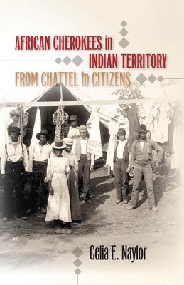 African Cherokees in Indian Territory: From Chattel to Citizens - Celia E. Naylor