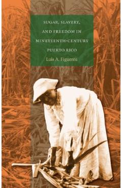 Sugar, Slavery, and Freedom in Nineteenth-Century Puerto Rico - Luis A. Figueroa