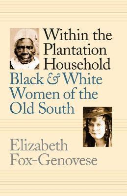 Within the Plantation Household: Black and White Women of the Old South - Elizabeth Fox-genovese