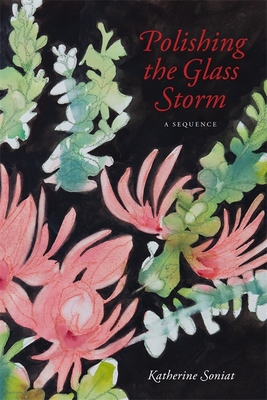 Polishing the Glass Storm: A Sequence - Katherine Soniat