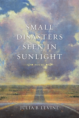 Small Disasters Seen in Sunlight - Julia B. Levine