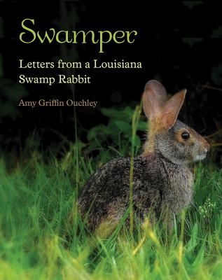 Swamper: Letters from a Louisiana Swamp Rabbit - Amy Griffin Ouchley