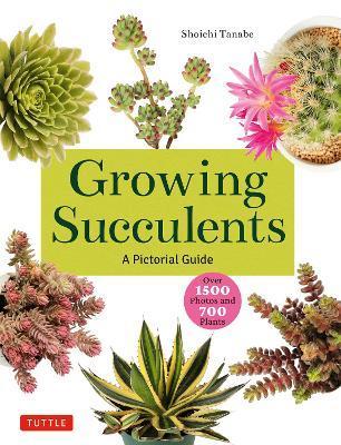 Growing Succulents: A Pictorial Guide (Over 1,500 Photos and 700 Plants) - Shoichi Tanabe