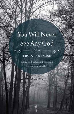 You Will Never See Any God - Ervin D. Krause