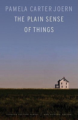 The Plain Sense of Things - Pamela Carter Joern