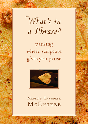 What's in a Phrase?: Pausing Where Scripture Gives You Pause - Marilyn Mcentyre