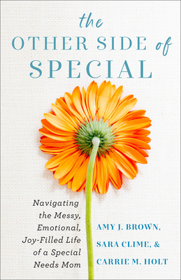 Other Side of Special - Amy J. Brown