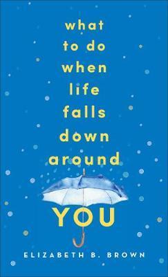 What to Do When Life Falls Down Around You - Elizabeth B. Brown