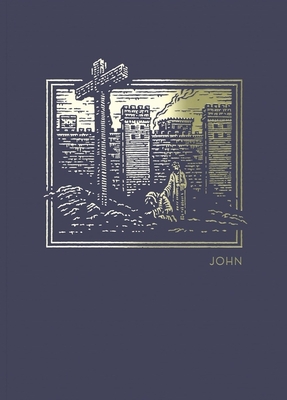 Net Abide Bible Journal - John, Paperback, Comfort Print: Holy Bible - Taylor University Center For Scripture E