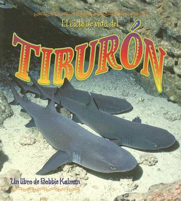 El Ciclo de Vida del Tiburón (the Life Cycle of a Shark) - John Crossingham