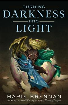 Turning Darkness Into Light - Marie Brennan