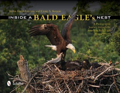 Inside a Bald Eagle's Nest: A Photographic Journey Through the American Bald Eagle Nesting Season - Teena Ruark Gorrow