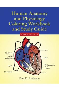 Poza produsului Human Anatomy & Physiology Coloring Workbook - Paul D. Anderson