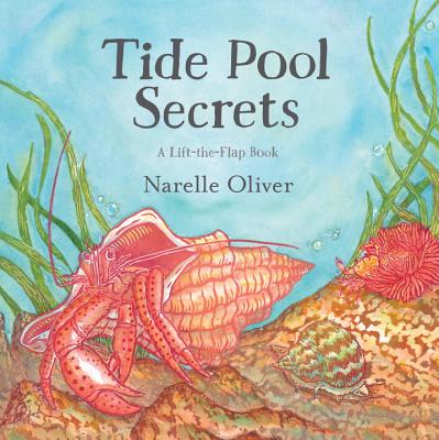 Tide Pool Secrets - Narelle Oliver