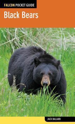 Black Bears - Jack Ballard