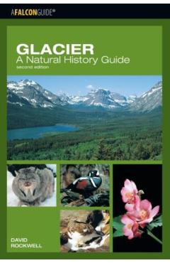 Glacier: A Natural History Guide - David Rockwell