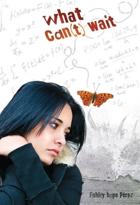 What Can(t) Wait - Ashley Hope Pérez