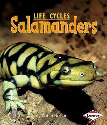 Salamanders - Robin Nelson