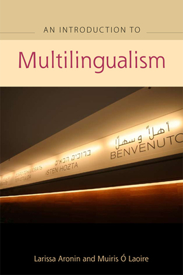 An Advanced Guide to Multilingualism - Larissa Aronin