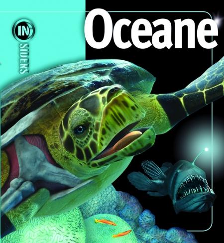Oceane - Insiders