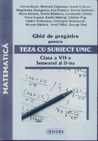 Matematica teza cu subiect unic clasa 7-a semestrul 2