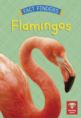 Flamingos - Katie Woolley