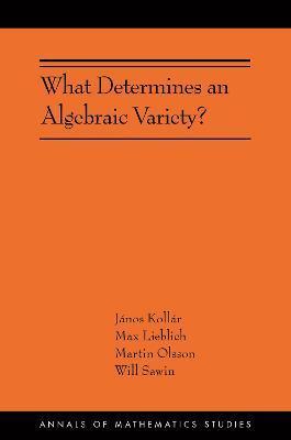 What Determines an Algebraic Variety?: (Ams-216) - János Kollár
