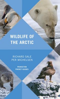 Wildlife of the Arctic - Richard Sale