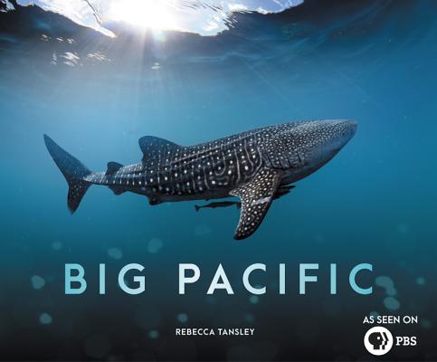 Big Pacific: Passionate, Voracious, Mysterious, Violent - Rebecca Tansley