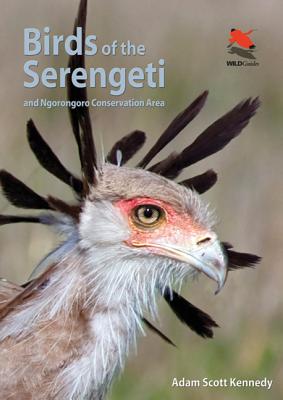 Birds of the Serengeti: And Ngorongoro Conservation Area - Adam Scott Kennedy