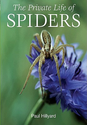 The Private Life of Spiders - Paul Hillyard