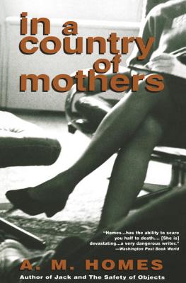In a Country of Mothers - A. M. Homes