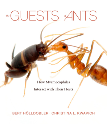 The Guests of Ants: How Myrmecophiles Interact with Their Hosts - Bert Hölldobler