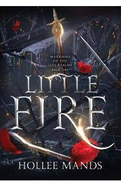 Coperta cărții 'Little Fire - Hollee Mands'