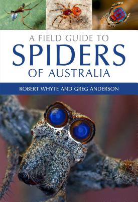 A Field Guide to Spiders of Australia - Robert Whyte