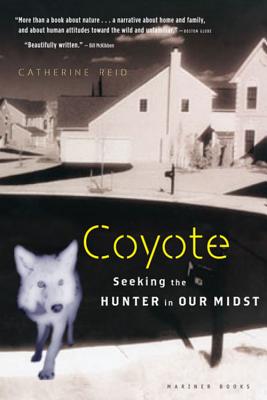 Coyote: Seeking the Hunter in Our Midst - Catherine Reid