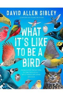 Poza produsului What It's Like to Be a Bird (Adapted for Young Readers): From Flying to Nesting, Eating to Singing--What Birds Are Doing, and Why - David Allen Sibley