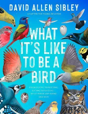 What It's Like to Be a Bird (Adapted for Young Readers): From Flying to Nesting, Eating to Singing--What Birds Are Doing, and Why - David Allen Sibley