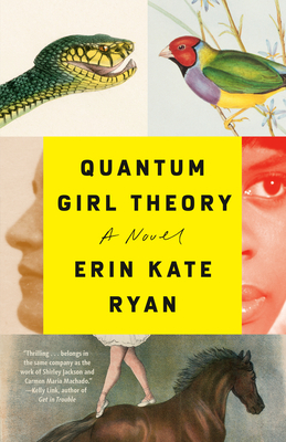 Quantum Girl Theory - Erin Kate Ryan
